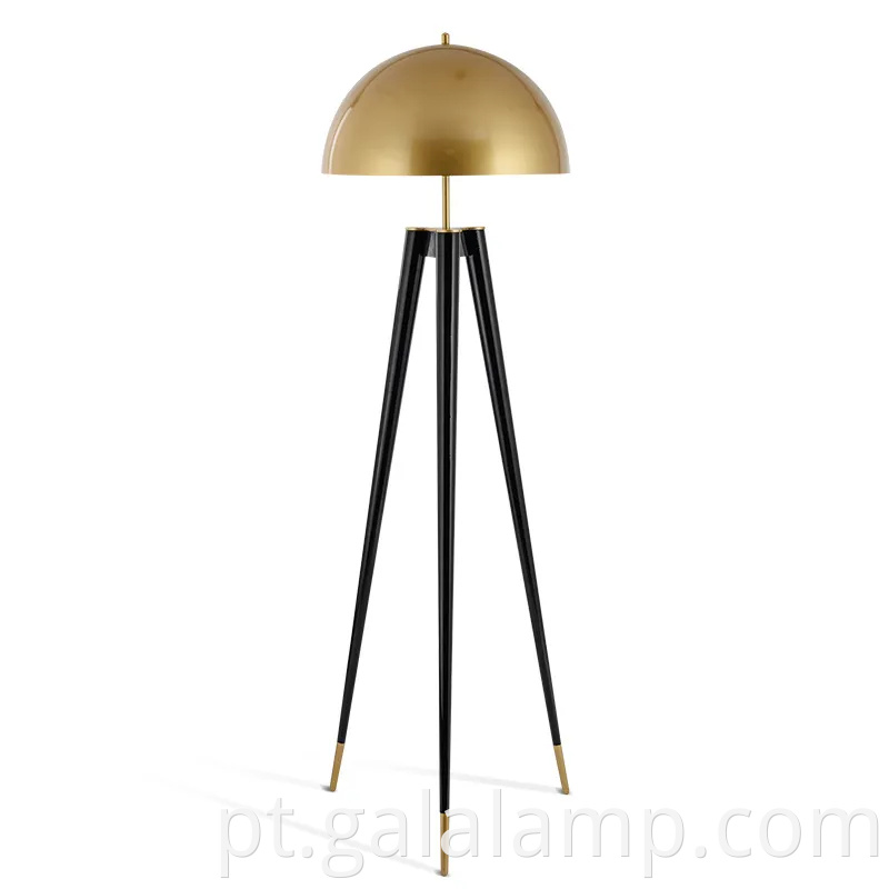 Aqui estão dez sugestões de nome do produto otimizado para SEO para a lâmpada de chão: